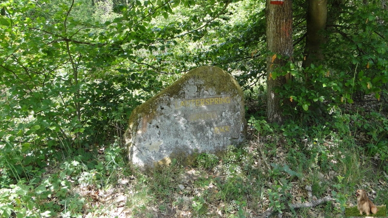 Ritterstein Nr. 294-3b Lauterspring Grund.JPG - Ritterstein Nr.294 Lauterspring Grund